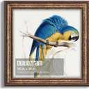 Ornate Antique Gold 14x14 Picture Frame for Photos and Artwork, 14 x 14 in
