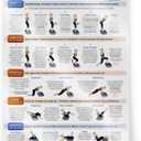 Lifepro Whole Body Vibration Plate Workout Poster - Comprehensive Vibration Plate Exercise Machine Exercise Poster with Training Suggestions & Detailed Instructions in Convenient Workout Chart