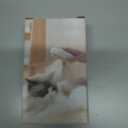 Soft 3-in-1 Silisone Spray Brush, Upgraded for Shedding, Cleaning and Spa Massage, Hair Removal, Best Water Steam Brush for Indoor Long or Short Haired Cat and Dog (White)