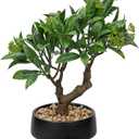 Artificial Bonsai Tree, Small Bay Laurel Bonsai Tree 13" Indoor Bonsai Tree Fake Potted Plant Decorative Fake Desk Plant Decor with Ceramic Pot for Home Office Living Room Bedroom Bathroom Table Shelf