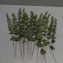 18PCS Eucalyptus Stems Decor Artificial Eucalyptus Leaves Faux Eucalyptus Stems Fake Greenery Branches for Wedding Flower Bouquet Centerpiece Home Office Decoration, 14Inch