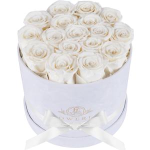 17 Flowers in a Luxury Suede Box, Birthday Gifts for Women, Preserved Flowers, Mothers Day Roses Gift for Mom, White