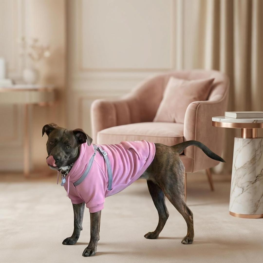 Dog Hoodies with Hurns Built in, Dog Sweatshirt for  Dogs, Warm Sweaters for French Bulldogs, Pitbull, Puppy, Winter Jacket Alternative - Pink - L
