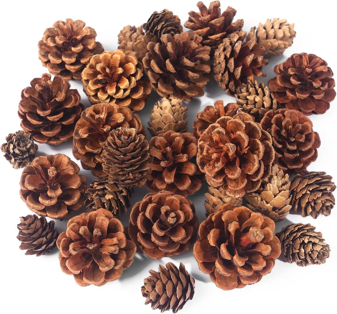 JOHOUSE 30PCS Christmas Pine Cones, Natural Pinecones for Crafts Assortment Rustic Pine Cones for Decorating Christmas Winter Holidays Table Bowl Fillers, Winter Vase Filler