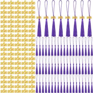 Cindeer 100 Pcs Mini Graduation Tassels with 100 Pcs 2026 Tassel Charms for Crafts Mini Silky Bookmark for Graduation Cap Keychain Ornaments DIY Craft Jewelry Making Project(Purple)