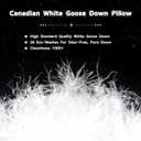 Canadian Goose Down Pillows King Size 80% Goose Down and 20% Goose Feathers, 1840+ Fill Power White Down Pillow with 800 Thread Count Cotton Shell, Ultra Comfort Bed Pillows(White 20"x36" 1 Pack)