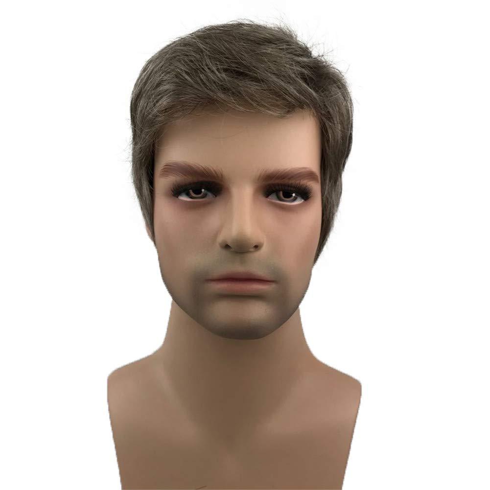 Aimole Mens Wigs Short Straight Hair Brown mix Sliver Natural Synthetic Full Wig (#38)