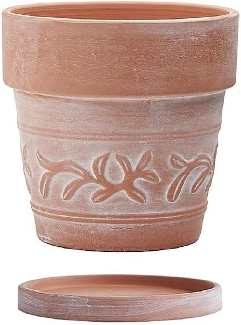 8" Embossed Whitewashed Terracotta Planter with Drainage Hole & Saucer, Rustic Style Unglazed Terracotta Pot for Indoor & Outdoors Plants