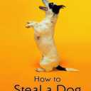 How to Steal a Dog