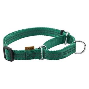 Aiminto Adjustable Nylon Reflective Martingale Dog Collar for Training and Walking (Green, XS (Neck: 10"-14", Width: 3/ 8"))