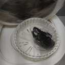 5.0 New Upgraded Portable Washing Machine 16L Mini Foldable Washer [SGS certified German high-efficiency motor] [Hidden UV-C cleaning]Foldable Design Ideal for Hotel, Home, Apartment and Campain (Grey)