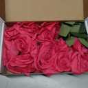 Felice Arts 12 Pack Hot Pink Artificial Roses with Stems Fuschia Silk Rose Fake Flowers for Wedding Bridal Bouquet Vase Table DIY Cake Valentines Decoration Decor