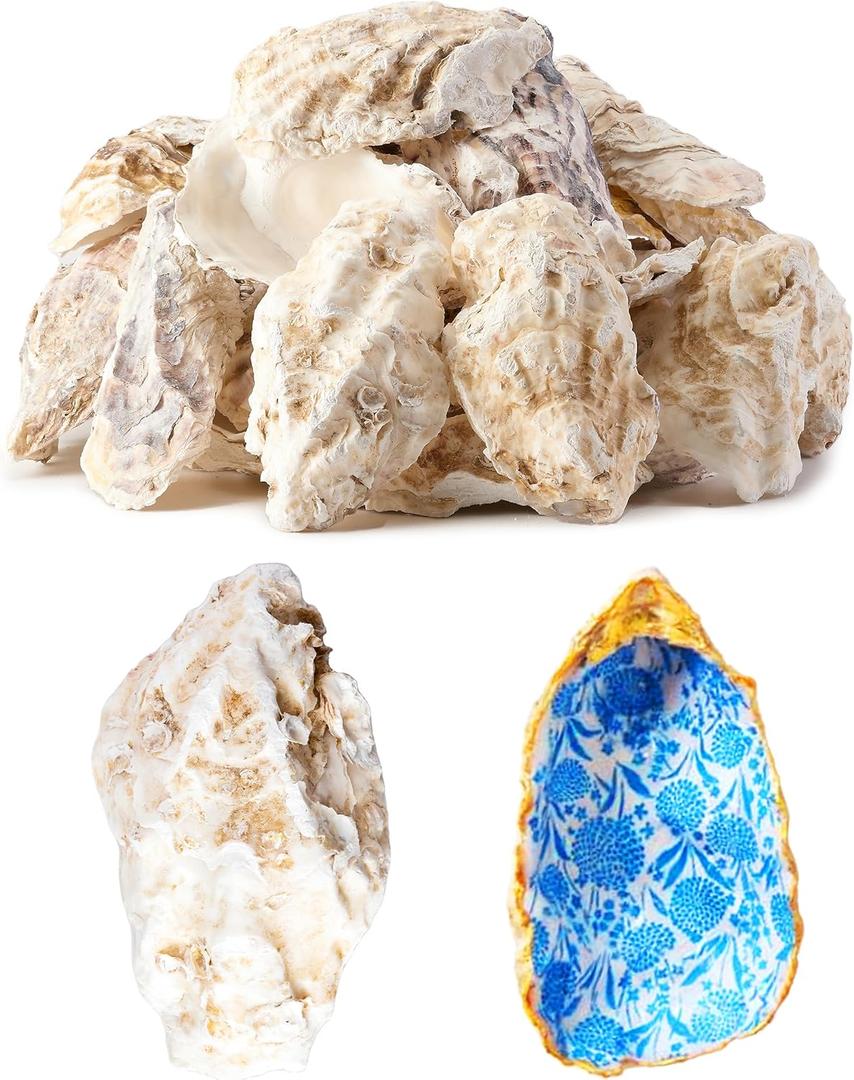30Pcs Extra Large Oyster Shells for Crafts  5"-6" , Oyster Shell for Crafting Seashells for CraftsPaintingWeddingChristmasBeach Theme Decor and CleanOdor-Free Sea Shells for Crafting