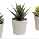 Set of 3 Succulents Plants Artificial in Pots,Mini Faux Plants for Bathroom Home Office Living Room Table Decor Indoor