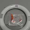 T9 LED Circline Light Bulb, 8 Inch 1600LM LED Circular Light, 13W Clear Cover 4000K Soft White Replacement for FC8T9 22-Watt Fluorescent Circular Bulb(FC8T9), Ballast Bypass Required