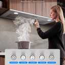30 Inch Range Hood Insert, 900 CFM Built-in Kitchen Hood with Push Button