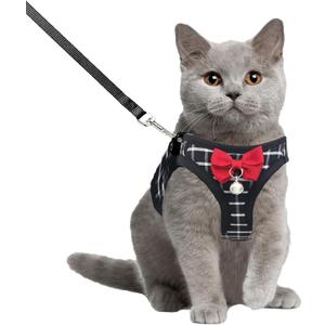 Cat Leash and Harness Set,Breathable Dog Harness,Pet Harness,Adjustable Mesh cat Harness and Leash Escape Proof for Puppy Cat Rabbit (Black, M)