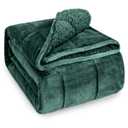 Wemore Sherpa Fleece Weighted Blanket for Adult 20 lbs Queen 60"x80" Green