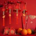 24 Pcs Chinese New Year Snake 2025 Lunar New Year Decorations fengshui Coins Red Tassel Ornaments with Wealth Success Good Luck Hanging Decorations for Gifts Home Car Decor