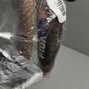 Fida Durable Slip Loop Lead for Large, Medium Dogs, 6 FT x 1/2" Heavy Duty, Comfortable Strong Rope, No Pull Pet Training Leash with Highly Reflective, Orange