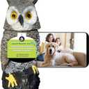 Indoor Camera Owl, Home Security Camera Owl with Rotatable Head, Night Vision, 2-Way Audio, Works with Phone, Decoration for Home