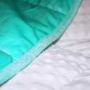 ALANSMA Reversible Weighted Blanket for All Season, Luxury Velvet, Warm and Cool, Adult 20Lb Green Weighted Blanket, Enjoy Sleeping Anywhere(Light Green,60"x80" 20lbs)