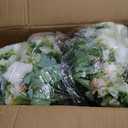 24" Artificial Potted Flowers for Outdoors, Silk Peony Faux Plants | Set of 2, UV Resistant, Realistic White Peonies, Weighted Cement Pots, Front Porch Decor