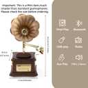 Mini Gramophone Vintage Copper Horn Record Player with Bluetooth, USB, AUX, FM Radio and Built-in Speakers for Gift Home Decor