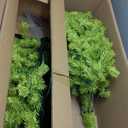 NEWISH Christmas Tree with Lights, 6ft Bendable Lime Green Artificial Christmas Tree Decorations with Stand, Red Ball, Green Tree Skirt, Ornaments, 25 Pcs DIY Xmas Tree for Home Party Decor