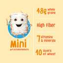 Kelloggs Frosted Mini-Wheats Breakfast Cereal, High Fiber, 48g Whole Grain, Giant Size, 29.5 oz (29.499 Ounce (Pack of 1))