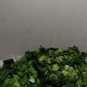 CQURE 144 Pack1008Ft Artificial Ivy Garland, Ivy Garland Fake Vines UV Resistant Green Leaves Fake Plants Hanging Vines for Home Kitchen Wedding Party Garden Wall Room Decor