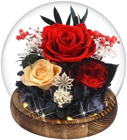 MOKOQI Birthday Gifts for Women Preserved Red Real Rose Flowers in Glass Dome, Forever Rose Valentines Day Gift for Her Mom on Christmas Birthday Flowers for Delivery Prime