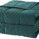 Mr. Sandman Weighted Blanket for Adults Queen Size 15 lbs, Soft Cooling Heavy Minky Blanket for Sleep, Washable Throw Blanket with Glass Beads, 60 x 80 Inches, Dark Green