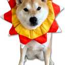 ComfyCamper Dog Candy Corn Neck Collar Costume - XXS Small Medium XL XXL Pumpkin Cosplay Halloween Costumes, M (Yellow)