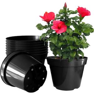 RooTrimmer 10 Inch Plastic Nursery Pots for Plants 10 Pack Plant Pots with Drainage Holes 2 Gallon Nursery Pots Perfect for Indoor Outdoor Plants Such as Herbs, Strwaberrys and Flowers, Black