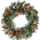 National Tree Company 24 in Pre-Lit Wintry Pine Artificial Christmas Wreath, Christmas Decoration with Pinecones, Red Berries, Snowy Bristle, 50 Clear Lights, 113 Tips, Green