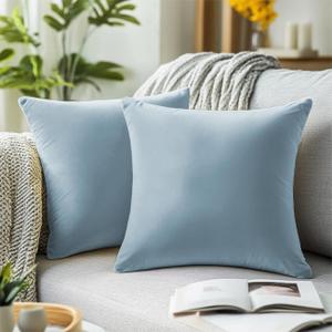 QUORGVES Light Blue Velvet Pillow Covers 18x18 Inch Set of 2, Soft Solid Decorative Square Throw Pillow Covers, Decor Cushion Covers for Bed Sofa Couch Bedroom Living Room - Coastal Sky Baby Blue