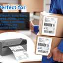 2500 PCS Thermal Shipping Labels 4x6, White Perforated & Smudge-Proof Direct Thermal Labels (250 Labels/Roll), Compatible with Zebra, Rollo, Jadens, Nelko (10 Rolls)