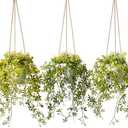 PENGYEE 3 Packs Fake Hanging Plants with White Pots, 13" Artificial Hanging Plants for Wall Decor, Fake Plants Mandala Vine Indoor/Outdoor for Home Bathroom Bedroom Kitchen Office Room Decor