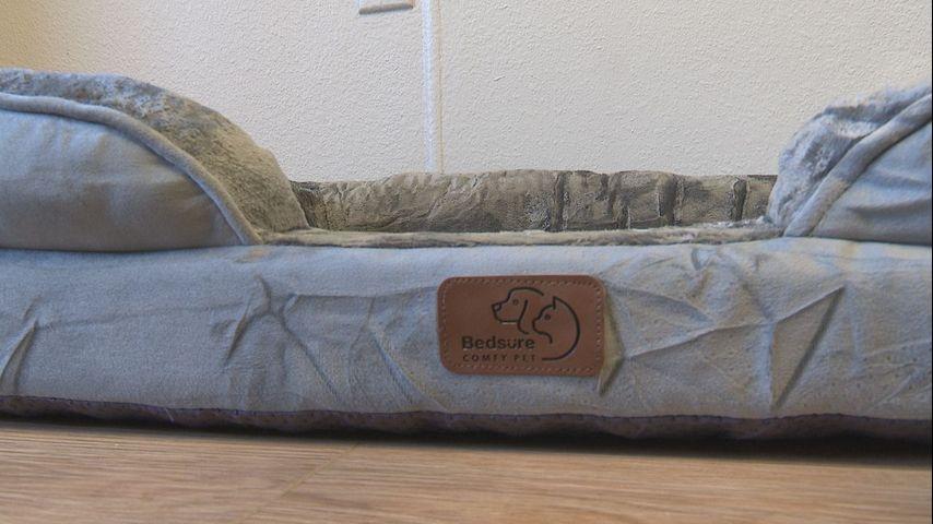BEDSURE Couch Cover for Dogs - 20.5"x28"x9" Pet Furniture Protector with Memory Foam Neck Bolster, Quilted Fabric, and Water-Resistant Base Layer by PETMAKER (Gray) (Large, Grey)