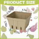 60 Pack Small Natural Pulp Fiber Berry Baskets Eco-Friendly Vented Produce Containers for Strawberries, Blueberries, Raspberries, Fruits and Vegetables, Ideal for Grocery, Market, and Kitchen Use