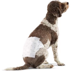 Amazon Basics Male Dog Diapers, 25 Count, Large, Ultra Absorbent Disposable Wrap with Secure Fit, Leakproof and Comfortable (Large (Pack of 25))
