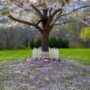 DOITOOL Flexible White Picket Fence Garden Border, 5 Pcs Decorative Landscape Edging Fences, Grass Lawn Flowerbeds Plant Borders, White (Overall Length 120 Inches)
