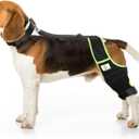 Dog Knee Brace for Hind Legs with Extra Collar & Strap - Relieves Joint Pain & Discomfort, Enhances Mobility | Supports Recovery from Osteoarthritis, Torn ACL/CCL, Luxating Patella | Adjustable (XS)