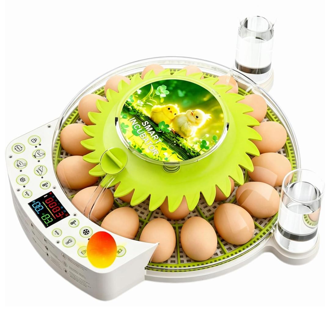 22 Egg Incubators for Hatching Eggs, 2026 Newly Upgraded 360° View with Automatic Egg Turning & Humidity Control, Built-in Egg Candler Air Vent, for Chicken, Duck & Quail Eggs, 22 Eggs