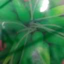 Soft Silica Gel Moves Naturally with Water Flow, Aquarium Decorations Glow in The Dark, Glowing Coral Ornaments for Fish Tank Decorations (Green, Equinox)