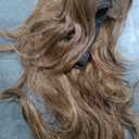 Brown Wig With Wig Caps 31Inch