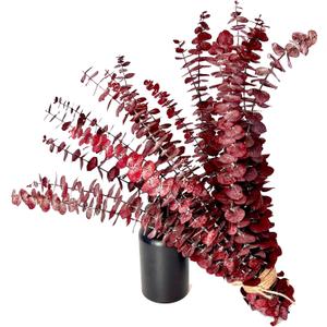 (20Pcs) Dried Eucalyptus Stems - Red, Fall Decorations for Home, Real Long Eucalyptus, Dried Flowers for Vase, 17" Floral Arrangement, Wedding