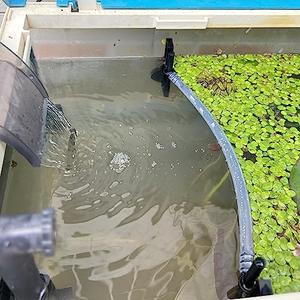 HOZOE Floating Plant Fence for Aquarium, Separates Plants, Automatically Adjusts Height with Water Level, Suitable for Most Aquariums. (1 PCS)