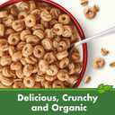 Cascadian Farm Organic Cinnamon Oat Clusters Cereal, Made with Whole Grain, Non-GMO, 15 oz (EXP 01/05/26)